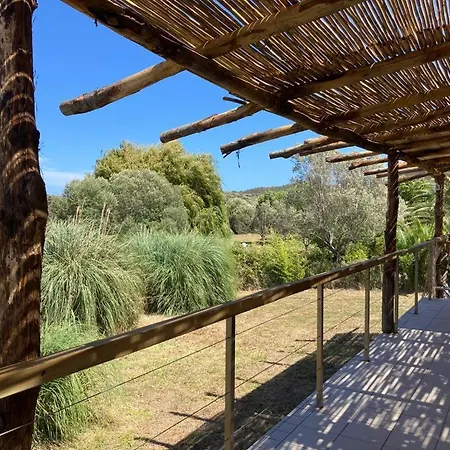 Piscine Tana Casa de Férias Bonifacio (Corsica)